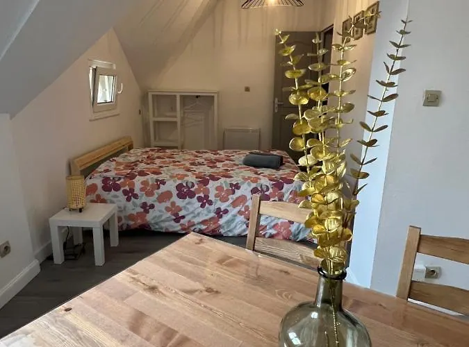 Studio Centre Ville Le Saint\'Oh